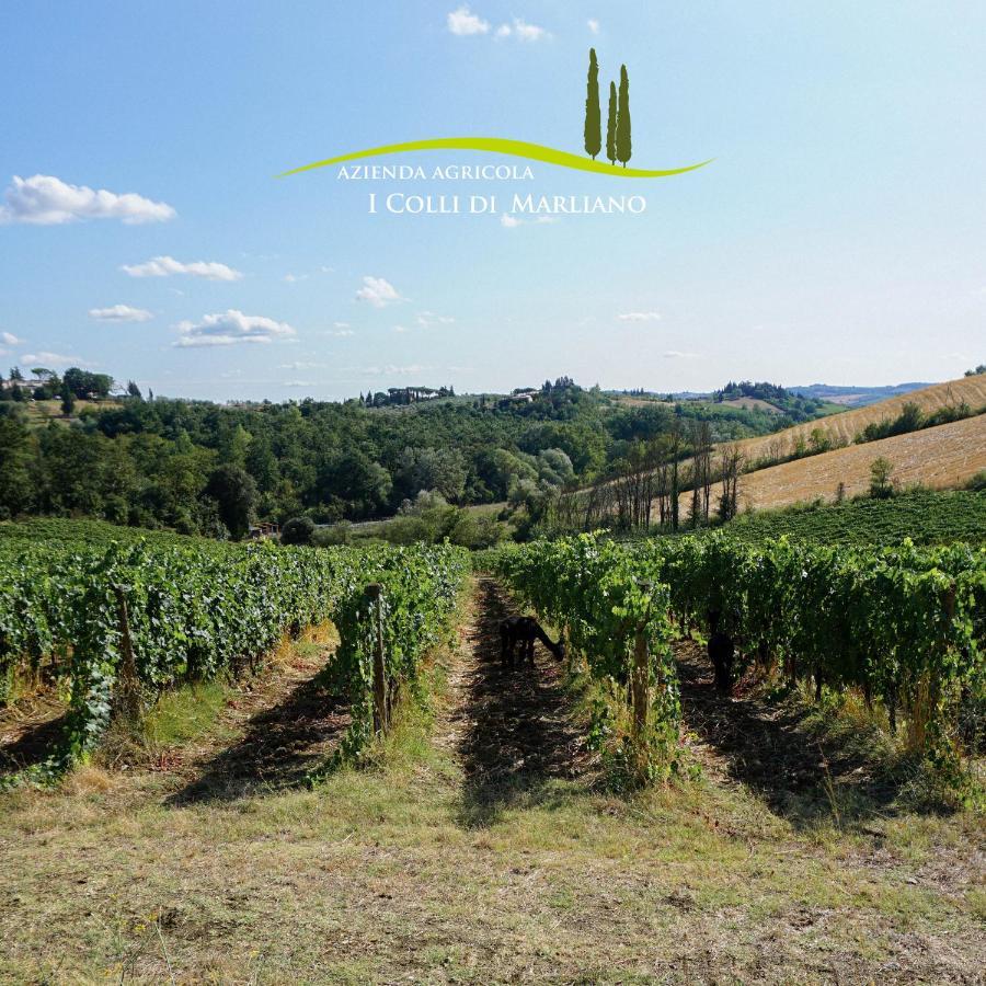 Azienda Agricola I Colli Di Marliano Lastra a Signa Kültér fotó